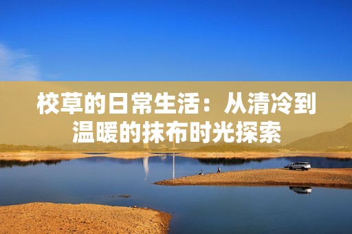 校草的日常生活：从清冷到温暖的抹布时光探索