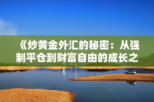 《炒黄金外汇的秘密：从强制平仓到财富自由的成长之路》