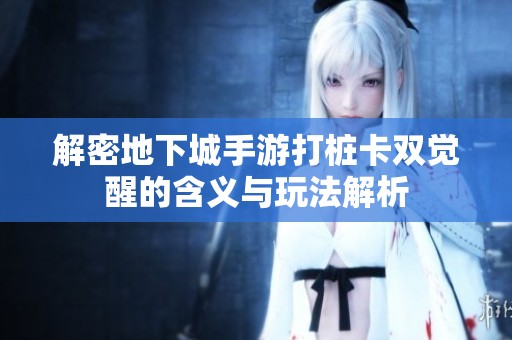 解密地下城手游打桩卡双觉醒的含义与玩法解析