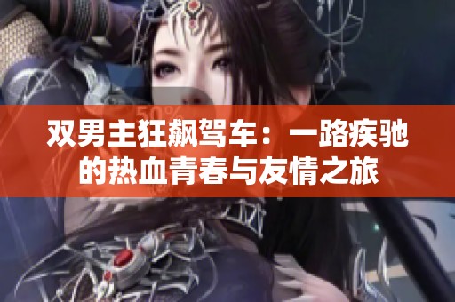 双男主狂飙驾车：一路疾驰的热血青春与友情之旅