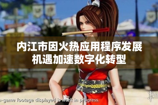 内江市因火热应用程序发展机遇加速数字化转型
