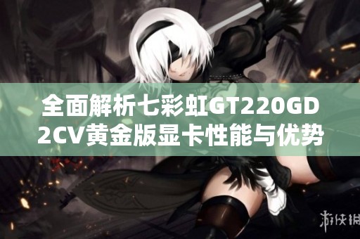 全面解析七彩虹GT220GD2CV黄金版显卡性能与优势