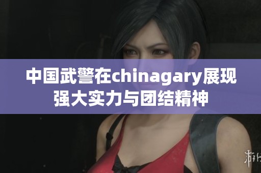 中国武警在chinagary展现强大实力与团结精神