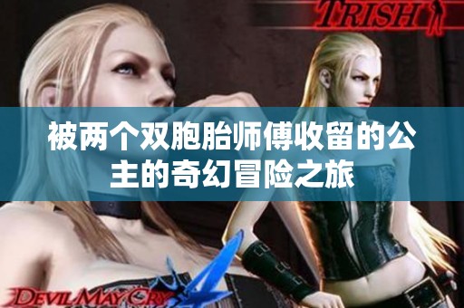 被两个双胞胎师傅收留的公主的奇幻冒险之旅