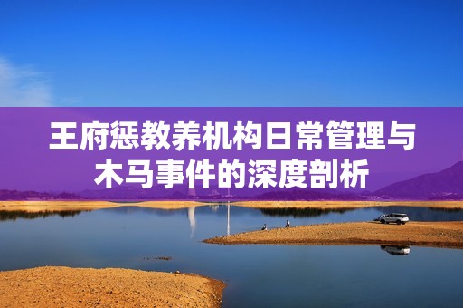 王府惩教养机构日常管理与木马事件的深度剖析