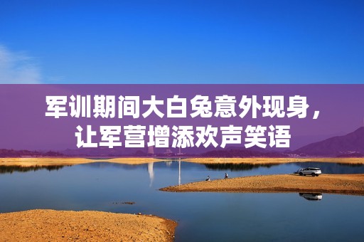 军训期间大白兔意外现身，让军营增添欢声笑语