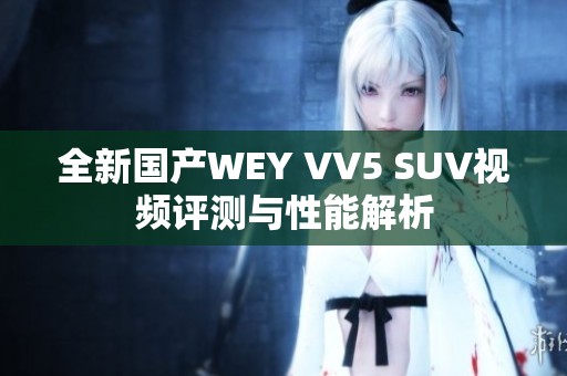 全新国产WEY VV5 SUV视频评测与性能解析