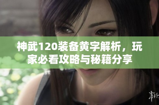 神武120装备黄字解析，玩家必看攻略与秘籍分享