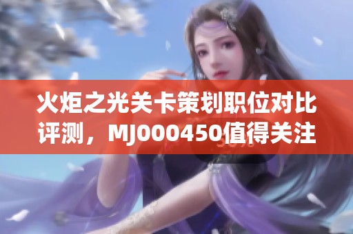 火炬之光关卡策划职位对比评测，MJ000450值得关注吗