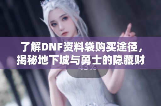 了解DNF资料袋购买途径，揭秘地下城与勇士的隐藏财富之旅