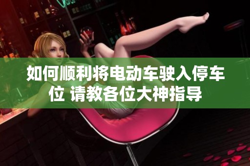 如何顺利将电动车驶入停车位 请教各位大神指导