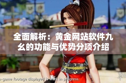 全面解析：黄金网站软件九幺的功能与优势分项介绍