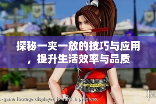 探秘一夹一放的技巧与应用，提升生活效率与品质