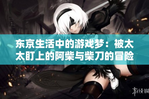 东京生活中的游戏梦：被太太盯上的阿柴与柴刀的冒险