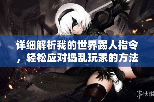 详细解析我的世界踢人指令，轻松应对捣乱玩家的方法