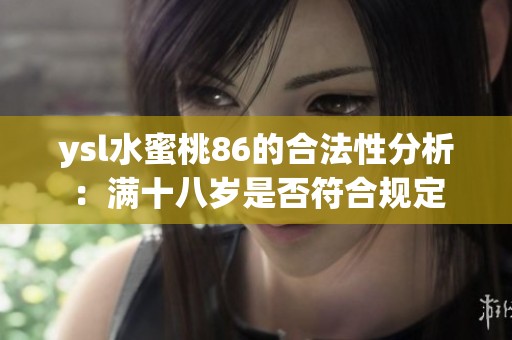 ysl水蜜桃86的合法性分析：满十八岁是否符合规定
