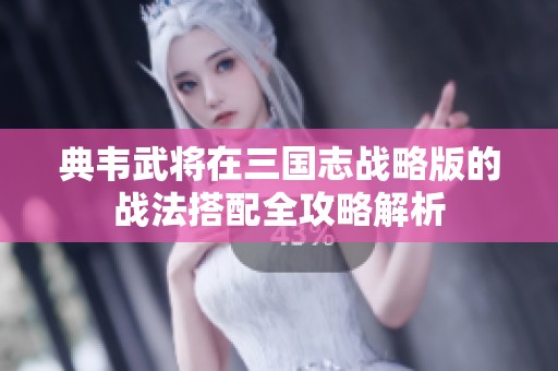 典韦武将在三国志战略版的战法搭配全攻略解析
