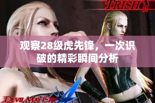 观察28级虎先锋，一次识破的精彩瞬间分析