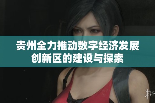 贵州全力推动数字经济发展创新区的建设与探索