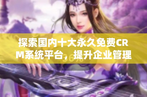 探索国内十大永久免费CRM系统平台，提升企业管理效率
