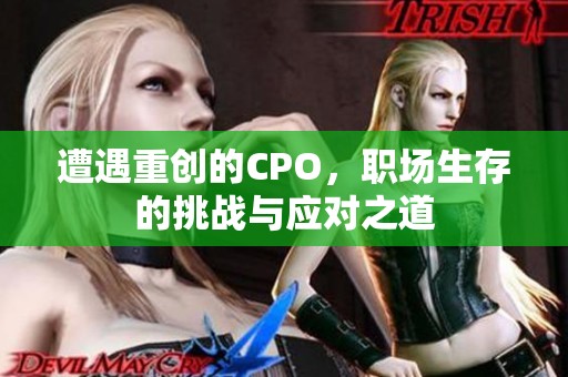 遭遇重创的CPO，职场生存的挑战与应对之道