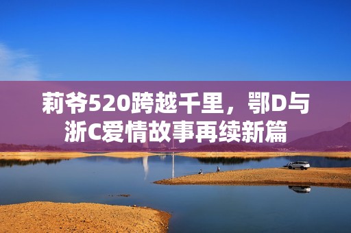 莉爷520跨越千里，鄂D与浙C爱情故事再续新篇