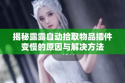 揭秘露露自动拾取物品插件变慢的原因与解决方法