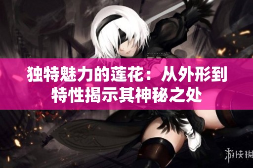独特魅力的莲花：从外形到特性揭示其神秘之处