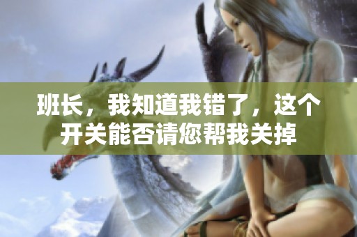 班长，我知道我错了，这个开关能否请您帮我关掉