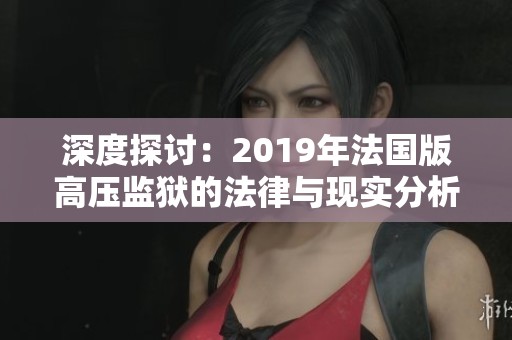 深度探讨：2019年法国版高压监狱的法律与现实分析