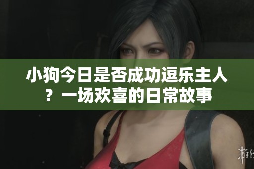 小狗今日是否成功逗乐主人？一场欢喜的日常故事