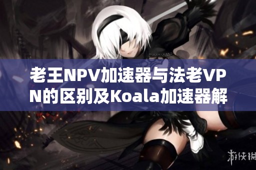 老王NPV加速器与法老VPN的区别及Koala加速器解析