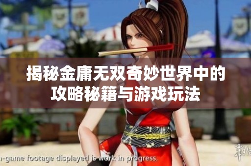 揭秘金庸无双奇妙世界中的攻略秘籍与游戏玩法