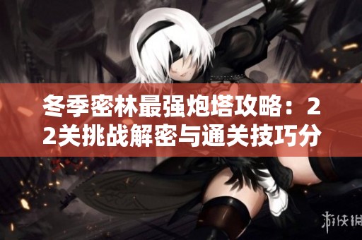 冬季密林最强炮塔攻略：22关挑战解密与通关技巧分享