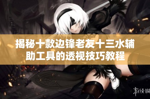 揭秘十款边锋老友十三水辅助工具的透视技巧教程