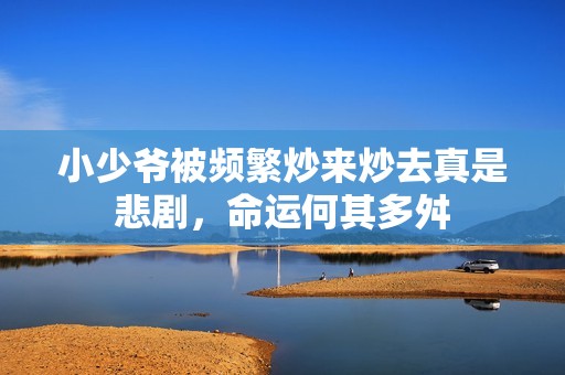 小少爷被频繁炒来炒去真是悲剧，命运何其多舛