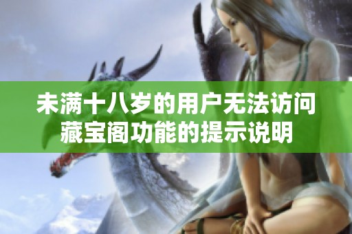 未满十八岁的用户无法访问藏宝阁功能的提示说明
