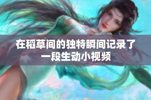 在稻草间的独特瞬间记录了一段生动小视频