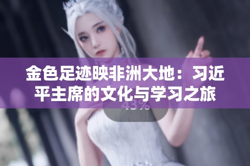 金色足迹映非洲大地：习近平主席的文化与学习之旅