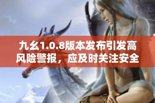 九幺1.0.8版本发布引发高风险警报，应及时关注安全问题