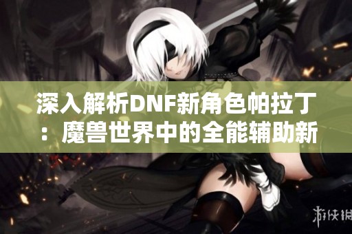 深入解析DNF新角色帕拉丁：魔兽世界中的全能辅助新星