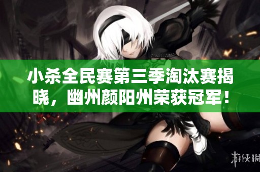 小杀全民赛第三季淘汰赛揭晓，幽州颜阳州荣获冠军！