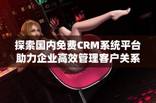 探索国内免费CRM系统平台助力企业高效管理客户关系