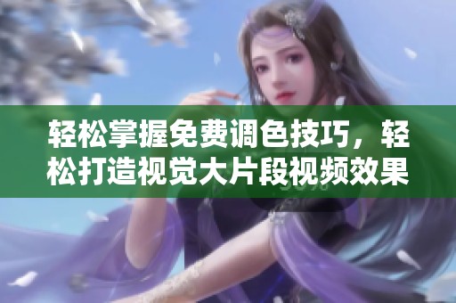 轻松掌握免费调色技巧，轻松打造视觉大片段视频效果