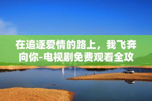在追逐爱情的路上，我飞奔向你-电视剧免费观看全攻略