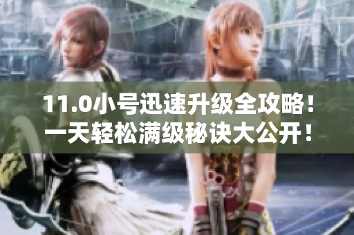 11.0小号迅速升级全攻略！一天轻松满级秘诀大公开！