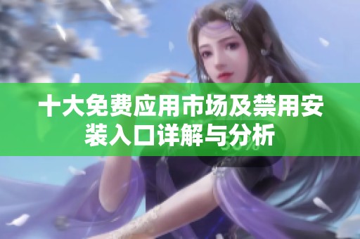 十大免费应用市场及禁用安装入口详解与分析