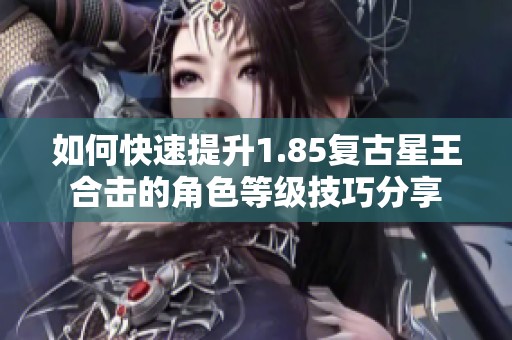 如何快速提升1.85复古星王合击的角色等级技巧分享