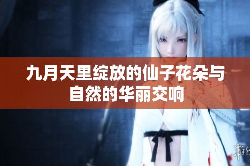 九月天里绽放的仙子花朵与自然的华丽交响