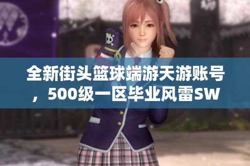 全新街头篮球端游天游账号，500级一区毕业风雷SW双加技能分享